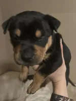 processed/846f51a8-7d48-4d6c-bb66-5c93505db191/listing/ab3a9a67-83ed-47d3-a477-9c7f2f37a527/270b7cc6-3f79-4a43-8f60-404c082ca509