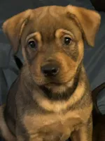 processed/846f51a8-7d48-4d6c-bb66-5c93505db191/listing/d09e2941-f40f-4791-9ddb-365411963074/10614a8b-8ce6-4386-bd9c-5fd71d7cb427