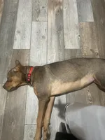 processed/846f51a8-7d48-4d6c-bb66-5c93505db191/listing/d09e2941-f40f-4791-9ddb-365411963074/8dd97b84-b677-4b2a-9ea2-2401171fae90