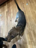 processed/846f51a8-7d48-4d6c-bb66-5c93505db191/listing/d09e2941-f40f-4791-9ddb-365411963074/b21e4c75-355c-4d02-b20e-0d6853a59926