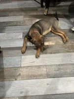 processed/846f51a8-7d48-4d6c-bb66-5c93505db191/listing/d09e2941-f40f-4791-9ddb-365411963074/ebaada83-51e8-410c-8a96-7292130a2b0f