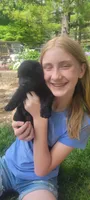 Male GSD Longhair All Black Puppy, a male German Shepherd Dog for sale in Ostrander, OH – 4 of 10