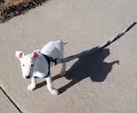 processed/84817176-75b6-44cd-b52b-fee942a96088/listing/7269d62b-ea62-40a3-8dcc-b120d6f7aeef/e6e2cea1-d037-4718-8ee6-7730a89dd562