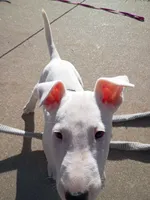 processed/84817176-75b6-44cd-b52b-fee942a96088/listing/99287ece-29bc-43a1-9024-0a969ad66629/5b241f5b-3a15-4cfc-b0c0-c05cb845a156