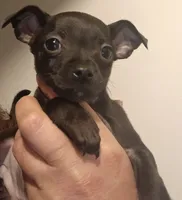 processed/84817176-75b6-44cd-b52b-fee942a96088/listing/f747026c-eba9-460c-8965-947bc78b95e4/30e20943-59b4-48bb-9bdf-e43ce94f8a52