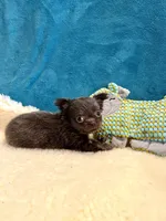 processed/848f5f08-e9a7-4259-a95c-72e8e8f3b8b4/listing/0a7d5222-d01c-4125-8ae2-eefb05ff8ac9/2e98303f-46a2-4986-bdcd-568e31d89a4e