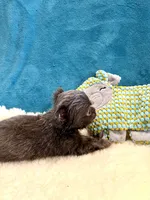 processed/848f5f08-e9a7-4259-a95c-72e8e8f3b8b4/listing/0a7d5222-d01c-4125-8ae2-eefb05ff8ac9/420c98db-6fcd-47c2-ae0e-404e039dde82