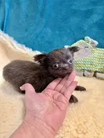 processed/848f5f08-e9a7-4259-a95c-72e8e8f3b8b4/listing/0a7d5222-d01c-4125-8ae2-eefb05ff8ac9/94d0f496-e71f-4e82-8103-889a0cee8b70