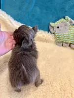 processed/848f5f08-e9a7-4259-a95c-72e8e8f3b8b4/listing/0a7d5222-d01c-4125-8ae2-eefb05ff8ac9/9c36af32-1644-4bba-8163-79f15801af57