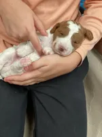 processed/84912a99-4819-417f-b06e-b263b7938403/facility/1b0da018-7670-46bf-b88d-cf636c3b040c