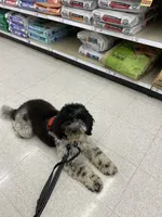 processed/84912a99-4819-417f-b06e-b263b7938403/facility/60977000-d51a-47cb-b529-e01fba818c14