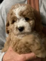 processed/84912a99-4819-417f-b06e-b263b7938403/facility/93bef4e5-eb2a-41f9-8f84-be3693a51844