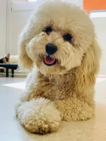 processed/84912a99-4819-417f-b06e-b263b7938403/facility/a11b9c87-2abb-45e4-99ee-5549669718d6