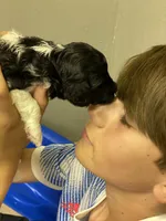 processed/84912a99-4819-417f-b06e-b263b7938403/facility/adf7eefa-08af-4f4a-a0c3-9dd6545a27cb