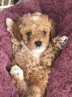 processed/84912a99-4819-417f-b06e-b263b7938403/facility/d9e4dd61-c428-4930-8719-e6310bc3b17b