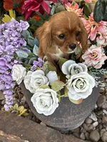 processed/84912a99-4819-417f-b06e-b263b7938403/listing/29d2d7f6-8872-483b-9bba-6bd5779e9761/04590fbc-7e76-4e91-9632-4efb284a84a9