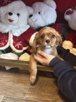 processed/84912a99-4819-417f-b06e-b263b7938403/listing/29d2d7f6-8872-483b-9bba-6bd5779e9761/45643d10-98bc-455e-9dcd-43433d995737