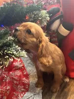 processed/84912a99-4819-417f-b06e-b263b7938403/listing/29d2d7f6-8872-483b-9bba-6bd5779e9761/563a6c25-5bf8-4182-b5f2-2948d08e00f0