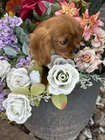 processed/84912a99-4819-417f-b06e-b263b7938403/listing/29d2d7f6-8872-483b-9bba-6bd5779e9761/a2810eec-fcfb-4ce5-90e4-46e7bcf4677a