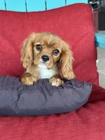 processed/84912a99-4819-417f-b06e-b263b7938403/listing/29d2d7f6-8872-483b-9bba-6bd5779e9761/b5d600aa-6aca-4143-9ce9-76f0aa2c3398