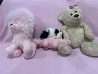 Felicia , a female Poodle - Miniature  for sale in Sacramento, CA – Photo 3 of 4