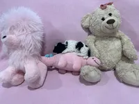 Felicia , a female Poodle - Miniature  for sale in Sacramento, CA – Photo 4 of 4