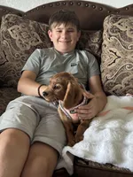 Training included Romeo, a male Cavalier King Charles Spaniel for sale in Sacramento, CA – Photo 6 of 10