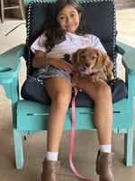 Training included Romeo, a male Cavalier King Charles Spaniel for sale in Sacramento, CA – Photo 10 of 10