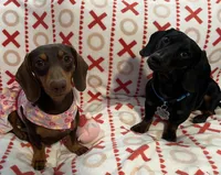 processed/8491d012-495f-4866-b4a5-372d3a9ea60e/facility/45bfb332-88fd-4fc2-9e44-0bb01fc72902