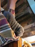 lucy, a female Chinese Shar-Pei for sale in Florida, FL – Photo 3 of 3