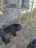 processed/84933443-e3d9-4535-90a9-4992d8fcbeea/listing/ee8bd7f7-98be-4e5b-a8d1-b225ed741ce6/1ff1acdf-d21c-4c96-aacd-f75de78b577e