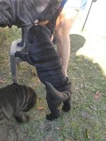 processed/84933443-e3d9-4535-90a9-4992d8fcbeea/listing/ee8bd7f7-98be-4e5b-a8d1-b225ed741ce6/51186c83-d58a-43aa-be79-8a7630081e70