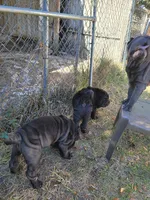 processed/84933443-e3d9-4535-90a9-4992d8fcbeea/listing/ee8bd7f7-98be-4e5b-a8d1-b225ed741ce6/7f8932f9-3279-4f3c-b3f0-027cf99c4ff5