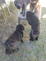 processed/84933443-e3d9-4535-90a9-4992d8fcbeea/listing/ee8bd7f7-98be-4e5b-a8d1-b225ed741ce6/8314cbf5-e83b-48b0-a843-c4874fa930e3