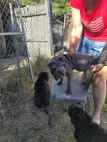 processed/84933443-e3d9-4535-90a9-4992d8fcbeea/listing/ee8bd7f7-98be-4e5b-a8d1-b225ed741ce6/8faf4d12-0a30-417b-a10a-e3097cf17420