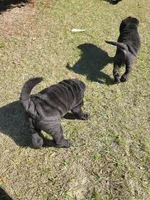 processed/84933443-e3d9-4535-90a9-4992d8fcbeea/listing/ee8bd7f7-98be-4e5b-a8d1-b225ed741ce6/e8b93337-705e-4b65-9f39-3caac0b16f5f