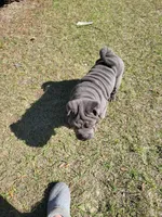 processed/84933443-e3d9-4535-90a9-4992d8fcbeea/listing/fcdb2c83-677a-4c8a-bd2a-a59f9d3f8aca/385b219e-285a-4d09-a3e0-70e8534d117f