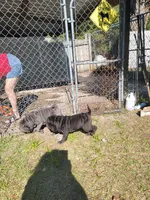 processed/84933443-e3d9-4535-90a9-4992d8fcbeea/listing/fcdb2c83-677a-4c8a-bd2a-a59f9d3f8aca/489b9bf5-7422-4d8f-b9fc-432b3b80f24f