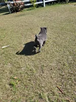 processed/84933443-e3d9-4535-90a9-4992d8fcbeea/listing/fcdb2c83-677a-4c8a-bd2a-a59f9d3f8aca/87428205-a189-4690-a839-9cab0846ab8a