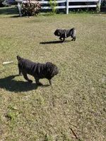 processed/84933443-e3d9-4535-90a9-4992d8fcbeea/listing/fcdb2c83-677a-4c8a-bd2a-a59f9d3f8aca/c8326acd-844e-4dc9-8a4d-ceac8b80b744