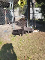 processed/84933443-e3d9-4535-90a9-4992d8fcbeea/listing/fcdb2c83-677a-4c8a-bd2a-a59f9d3f8aca/d4542ddb-8dc0-448c-a847-680bb0f21c34