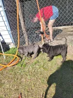 processed/84933443-e3d9-4535-90a9-4992d8fcbeea/listing/fcdb2c83-677a-4c8a-bd2a-a59f9d3f8aca/db6fac20-aab6-40b2-b170-8124f56bf58c