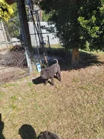 processed/84933443-e3d9-4535-90a9-4992d8fcbeea/listing/fcdb2c83-677a-4c8a-bd2a-a59f9d3f8aca/df7e46bc-aa89-429f-b7a3-fc12c90ee439