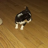 processed/849a8485-4b5a-4964-9ca6-c49f9c79adf0/facility/02789b3c-f8bd-4237-9a75-5a714a7f2dc2