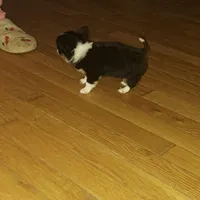 processed/849a8485-4b5a-4964-9ca6-c49f9c79adf0/facility/0c152d8d-0563-45f6-8f64-7624f216c6d5