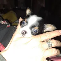 processed/849a8485-4b5a-4964-9ca6-c49f9c79adf0/facility/2e202c59-ed27-4c90-a688-4f4262941ee2