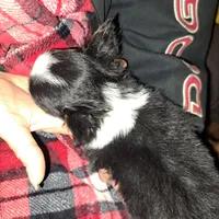 processed/849a8485-4b5a-4964-9ca6-c49f9c79adf0/facility/71da3dd2-b638-4d33-a942-b5182f8ed1a3