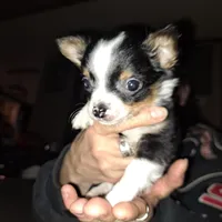 processed/849a8485-4b5a-4964-9ca6-c49f9c79adf0/facility/af8b8ddc-942b-4339-8dae-1a7a9d0f3446