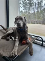 processed/84a593f7-f472-41fd-a507-1b290e3263dd/listing/763c2cf7-2e8c-4f31-868a-525429d696f3/91bd3b2f-c8b1-4c0f-82b2-dcd103dca859