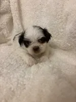 processed/84aae927-8616-430d-9f68-df79713aa4b3/listing/cb933540-495b-495b-a50f-0e3a577771a0/013ecfb3-c8f6-4615-b18e-1d16df20e496